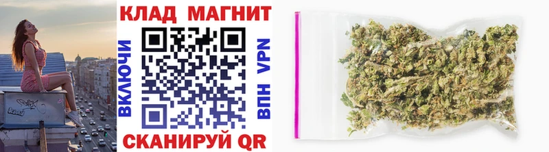 Виды наркотиков купить Рошаль Codein Амфетамин Alpha PVP ГАШ МЕФ КОКАИН
