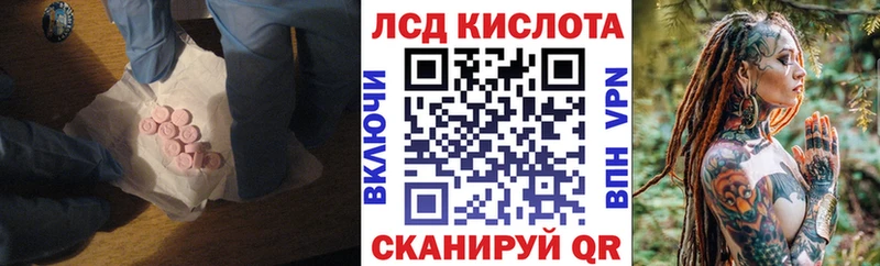 KRAKEN ссылки  Рошаль  Лсд 25 экстази кислота 