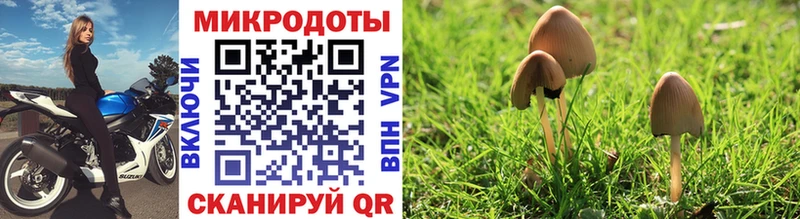 Галлюциногенные грибы прущие грибы  купить наркоту  Рошаль 