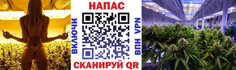 Конопля марихуана  MEGA сайт  Рошаль 